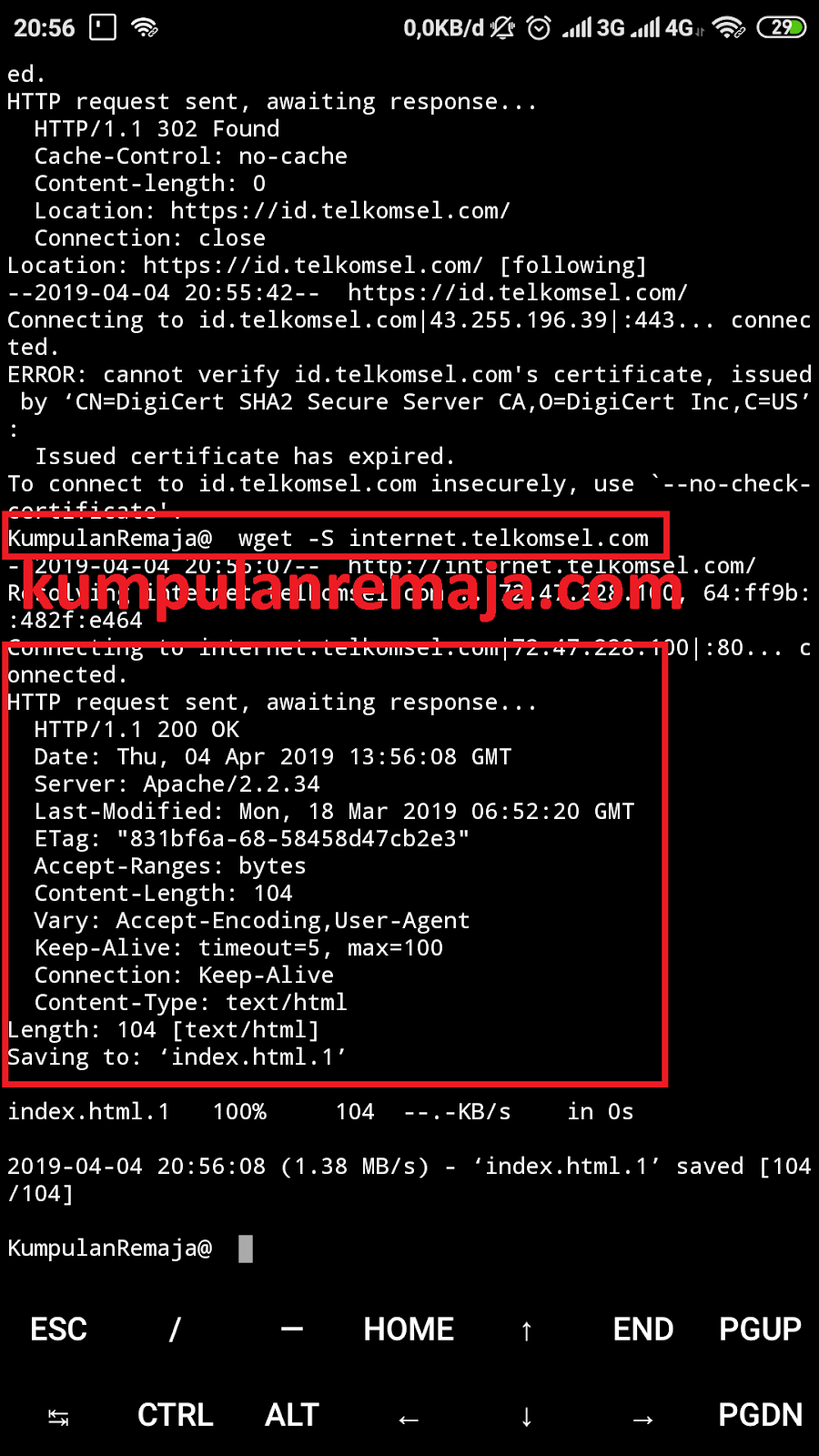 Tutorial Mencari BUG/Host Gratis Dengan Termux Kumpulan Remaja