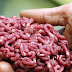 Police smash Europe-wide horsemeat racket