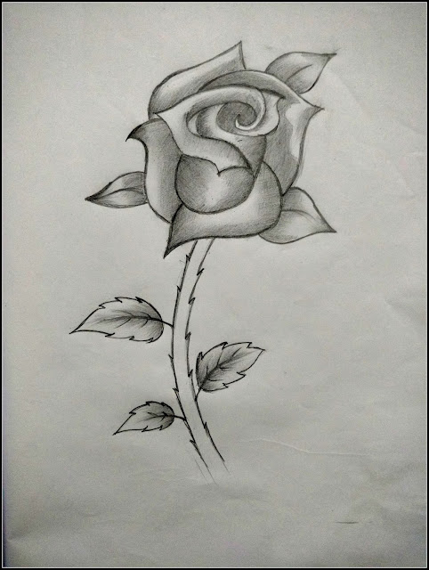 how to draw a simple rose how to draw a simple rose