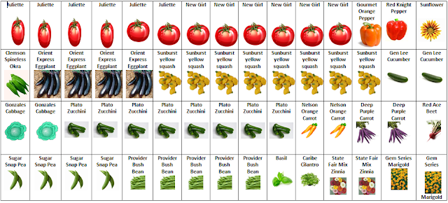 Jill's Garden Venture: Garden Plot Plan
