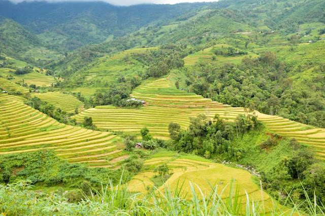 Travel to Vietnam if you are looking for rural adventures