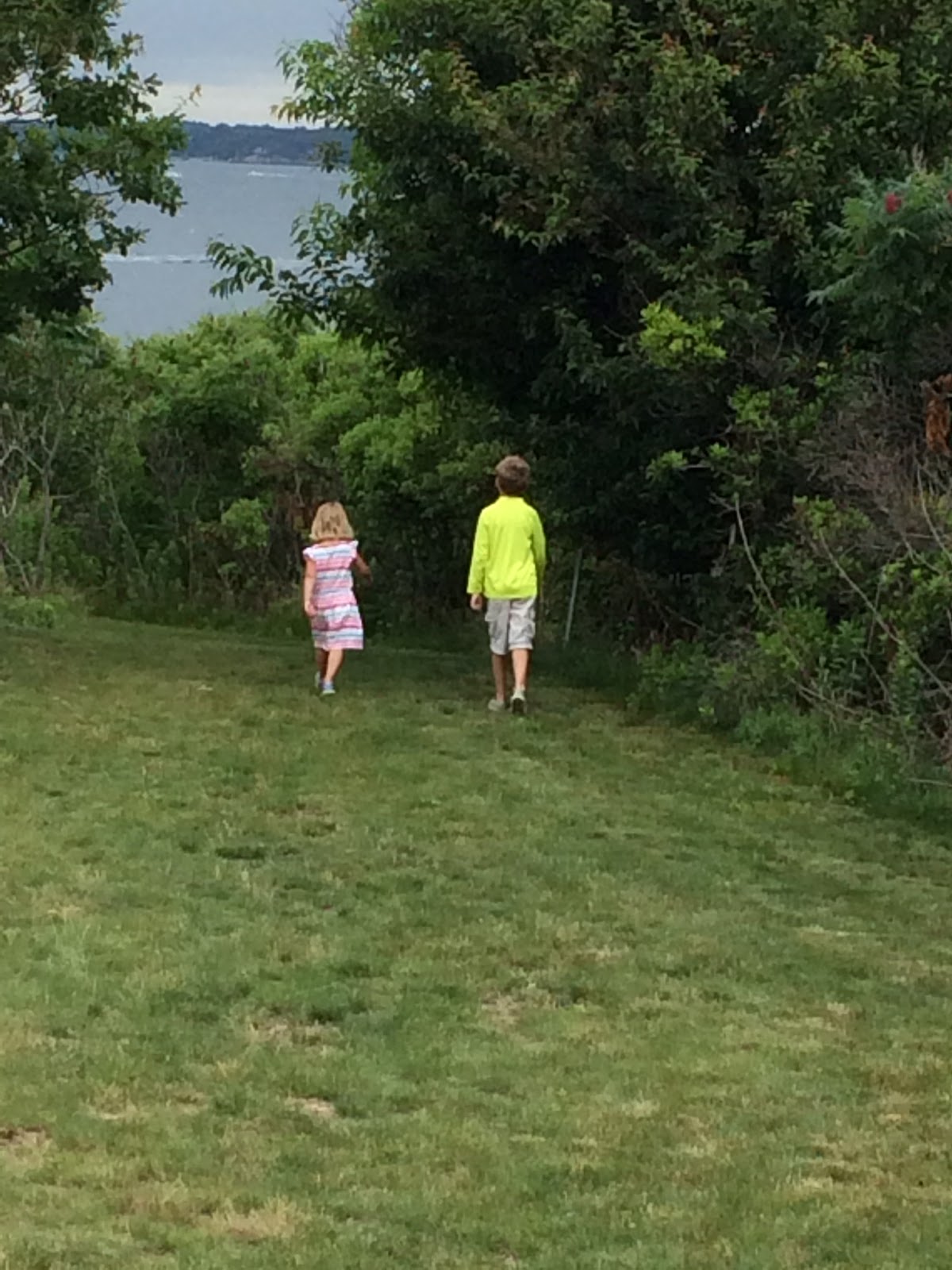 Bakers Island Summer 2015 Bakers Island 7/23/2015