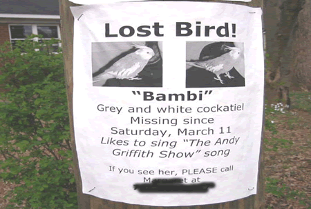 Sport Art Ads 12 Funniest Lost Found Pet Signs 12 Funniest Lost Found Pet Signs