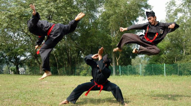 Pencak Silat Sebagai Gaya Hidup dan Membina Nilai Kehidupan Pencak Silat Sebagai Gaya Hidup dan Membina Nilai Kehidupan