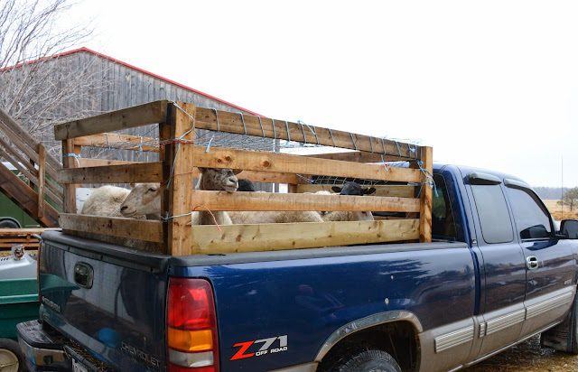 Farmer Peg: Livestock Racks