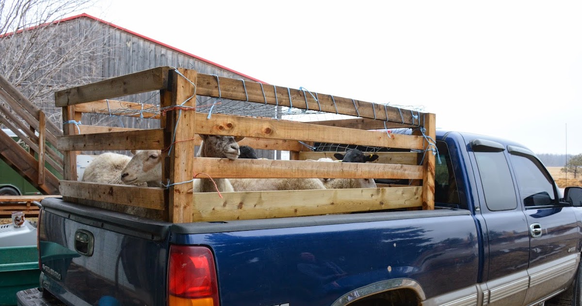 Farmer Peg Livestock Racks