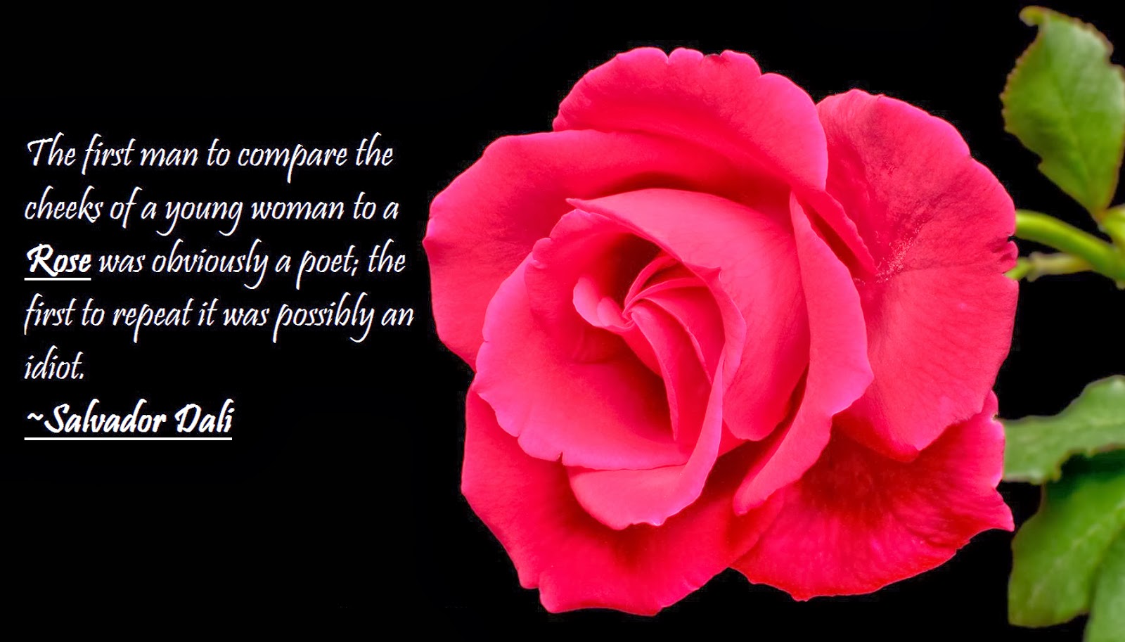 happy rose day 2017 wallpaper happy rose day 2017 wallpaper with saying quotes