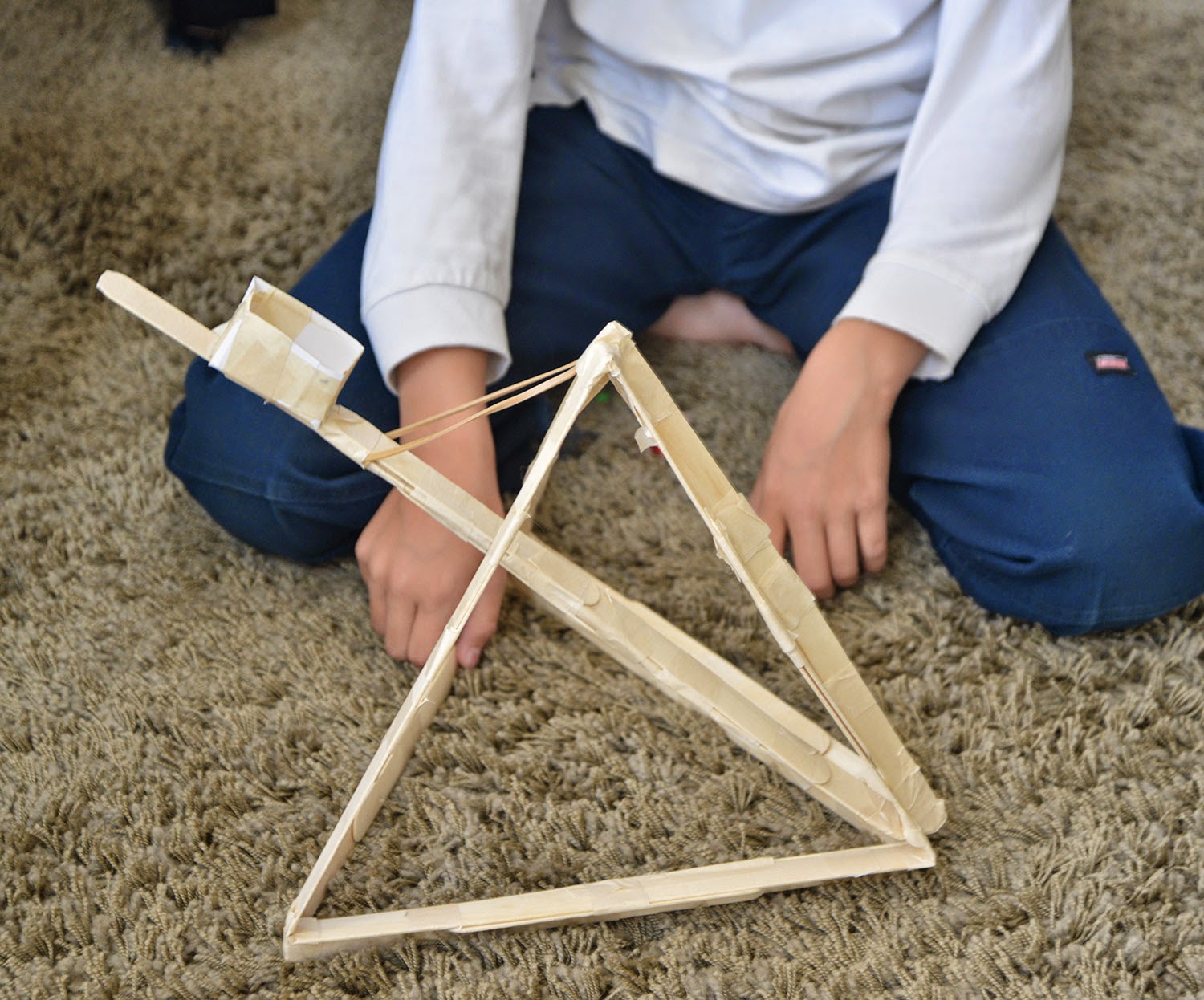 A school of fish Simple Machines Levers