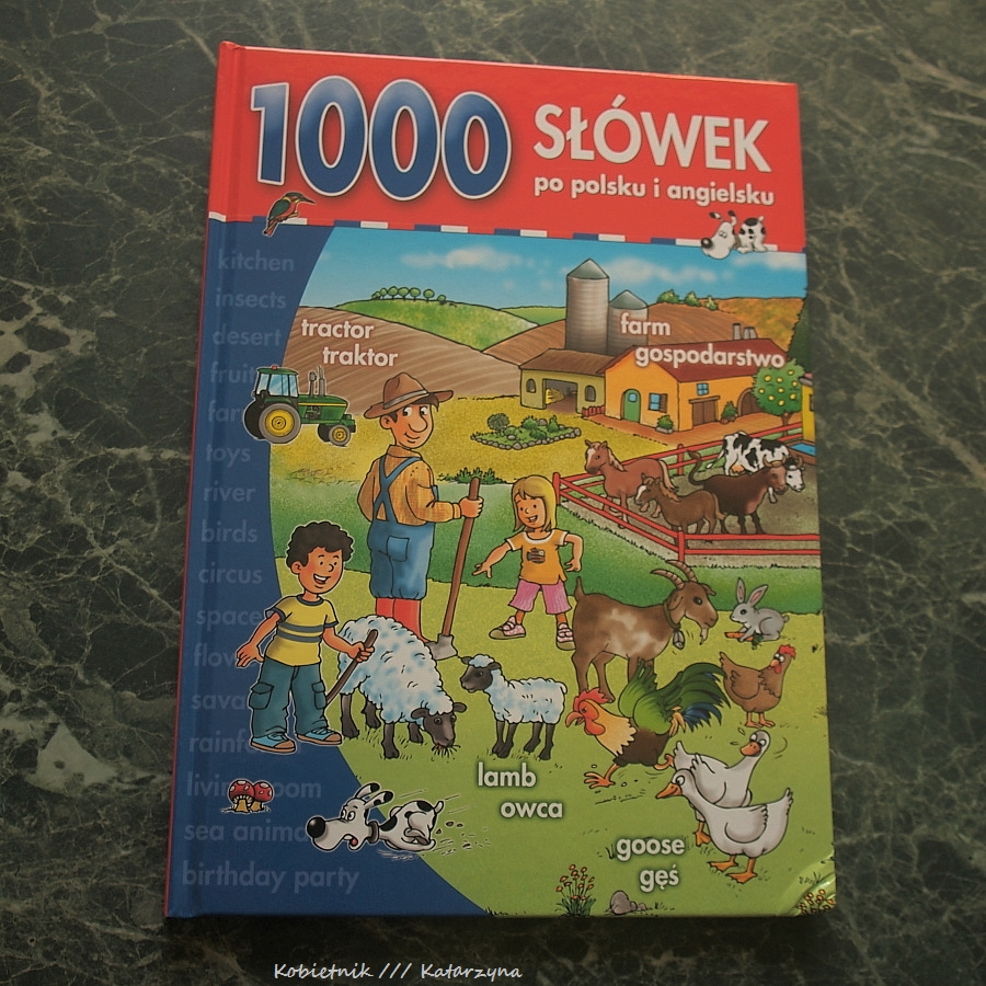 1000-s-wek-po-polsku-i-angielsku-ten-j-zyk-zna-trzeba