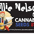 Willie Nelson - 10 PACK