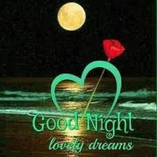 good night good night