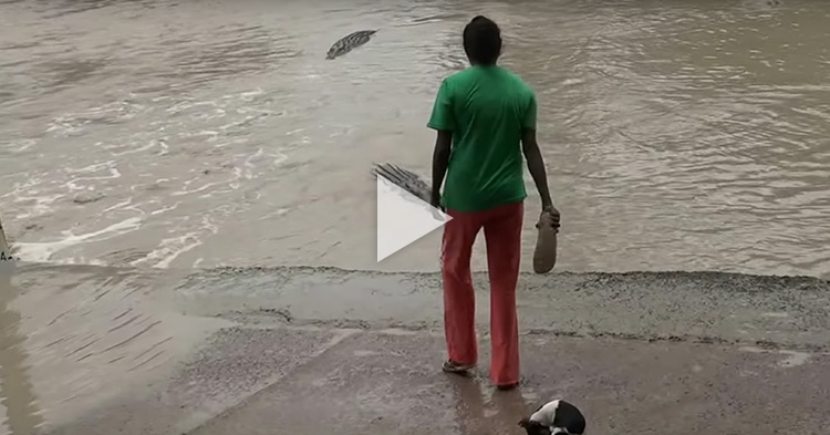 Woman drives away 4-meter-long Crocodile using her slipper