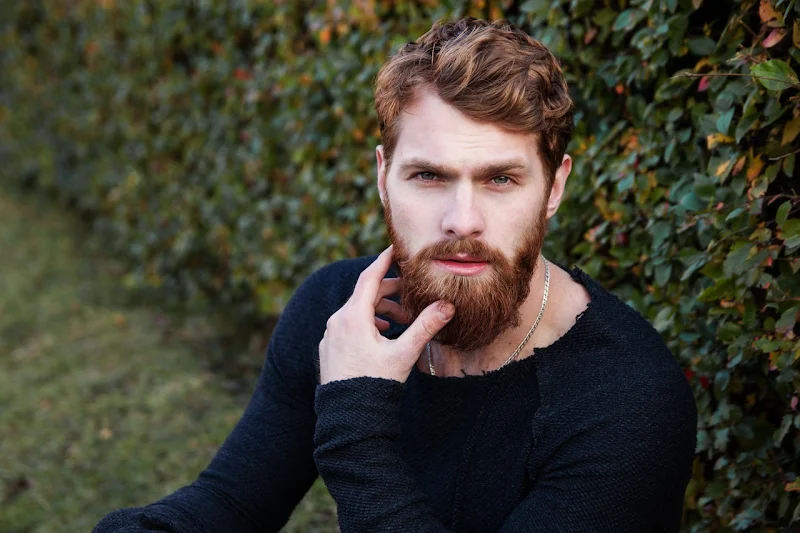 New tricks to take good care of your beard New tricks to take good care of your beard