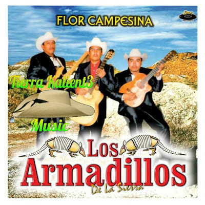 01 Perdi El Albur 01 Perdi El Albur