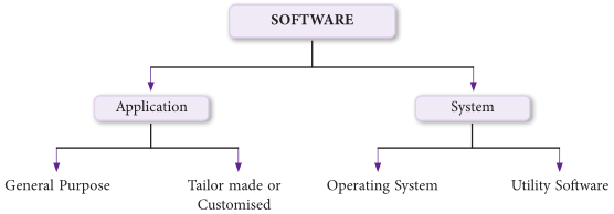 Software types