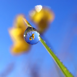 Wedding Photography Digital Photography Art Photography: Water Photography Ideas Water Photography Tips