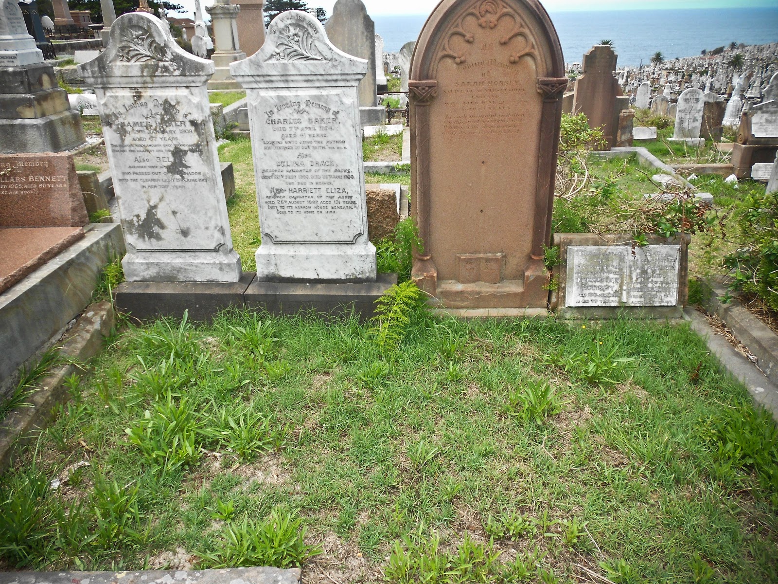 Prue A trip to Waverley Cemetery