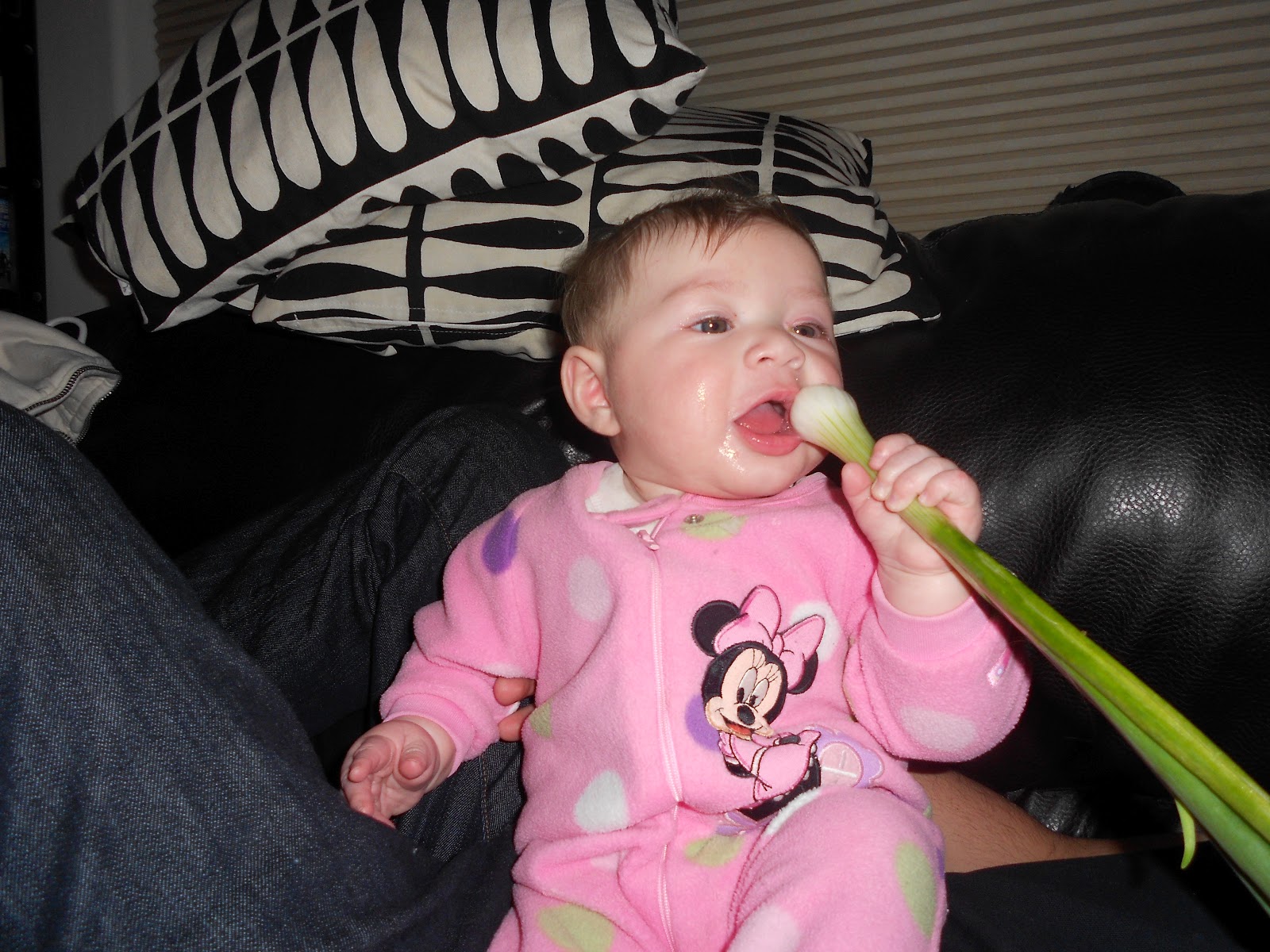 Sweet Inspirations Treat teething with green onions