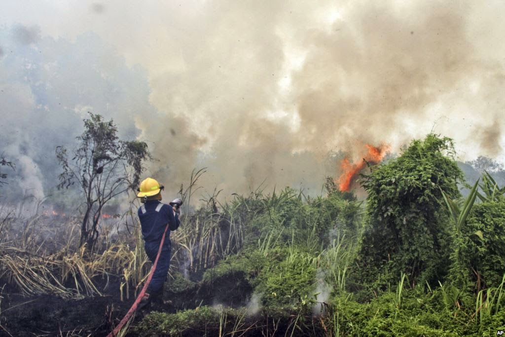 Kondisi Kebakaran Hutan  di Riau GOMUMU