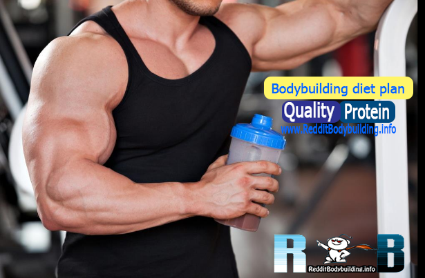 Bodybuilding diet plan : Quality Protein ! Bodybuilding diet plan : Quality Protein !