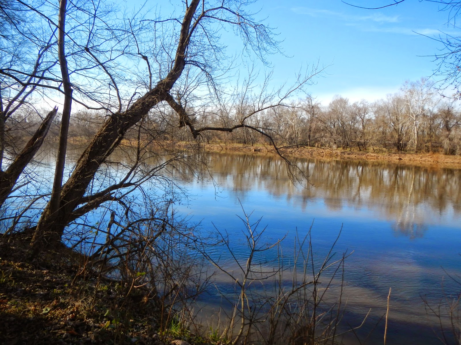 Oh To Be Hiking! Powhatan State Park Trails