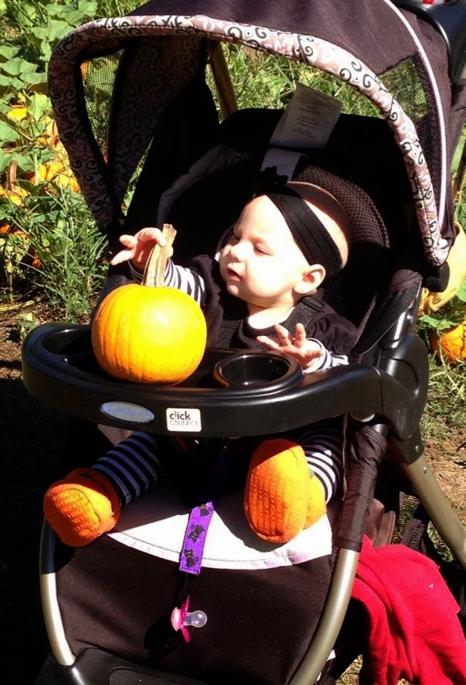 Conceiving Piper: Pumpkins, Pig Races, and Hayrides...Oh My!