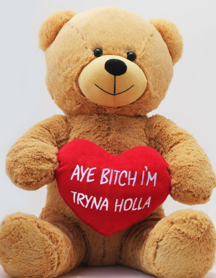 February Feels valentine's day teddy bear gag gift