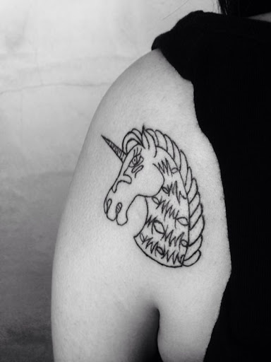 O tipo de cranio de um unicornio