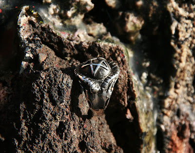 pagan ring by alex streeter