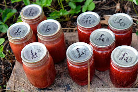 jars of canned strawberry jam and strawberry salsa in a strawberry patch