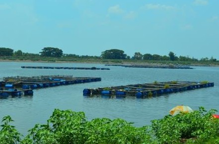 Pesona Keindahan Destinasi Wisata Waduk Mulur Di Bendosari Pesona Keindahan Destinasi Wisata Waduk Mulur Di Bendosari