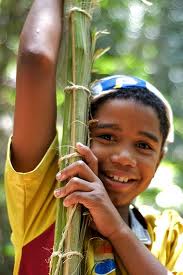 Obelisco: Palmeros de Chacao parten en busca de la palma real