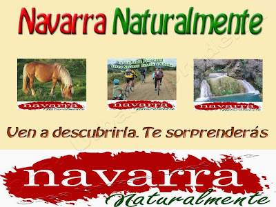 Los Datos de Ocupación de Casas Rurales en Comarca Urbasa Estella en Navarra