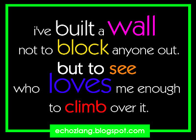 i've built a wall not to block anyone out. but to see who loves me enough to climb over it