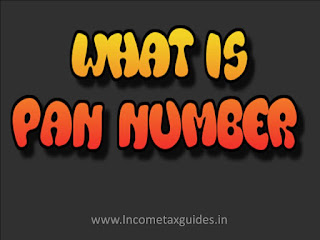 PAN Number,Income-Tax Number, Permanent Account Number, online apply for PAN number,Online apply for Income-tax Number,PAN Number,