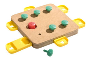 Hondenpuzzel intelligentie trainen Doggy Brain Train Hondenpuzzel intelligentie trainen Doggy Brain Train