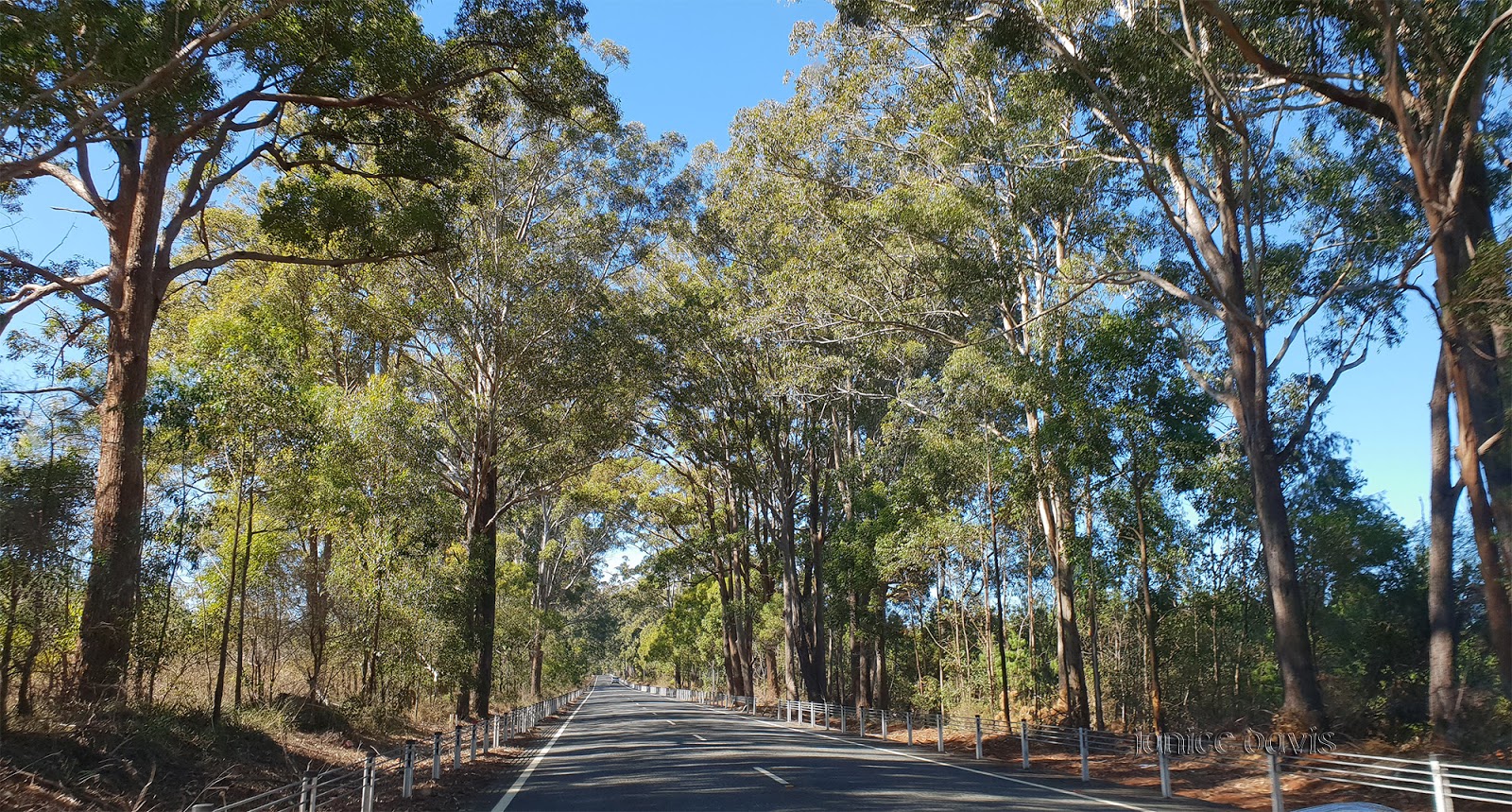 thoughts & happenings Way to Crows Nest, Queensland.