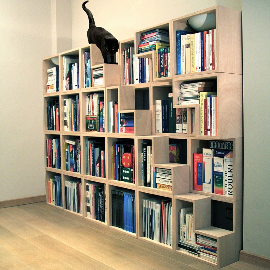 Cat Shelf