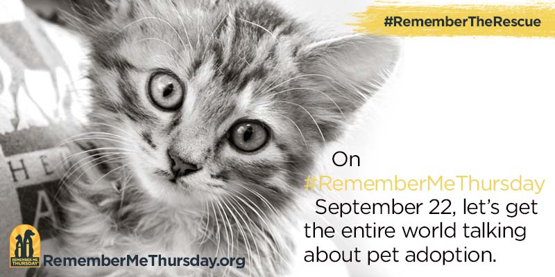 Remember Me Thursday #remembermethursday #remembertherescue