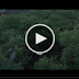 Download Ternet Ninja Full HD Movie Blueray 720p Free