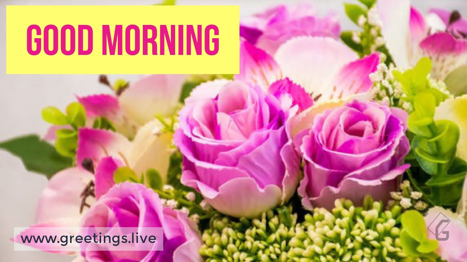 Greetings.Live*Free Daily Greetings Pictures Festival GIF Images Pink