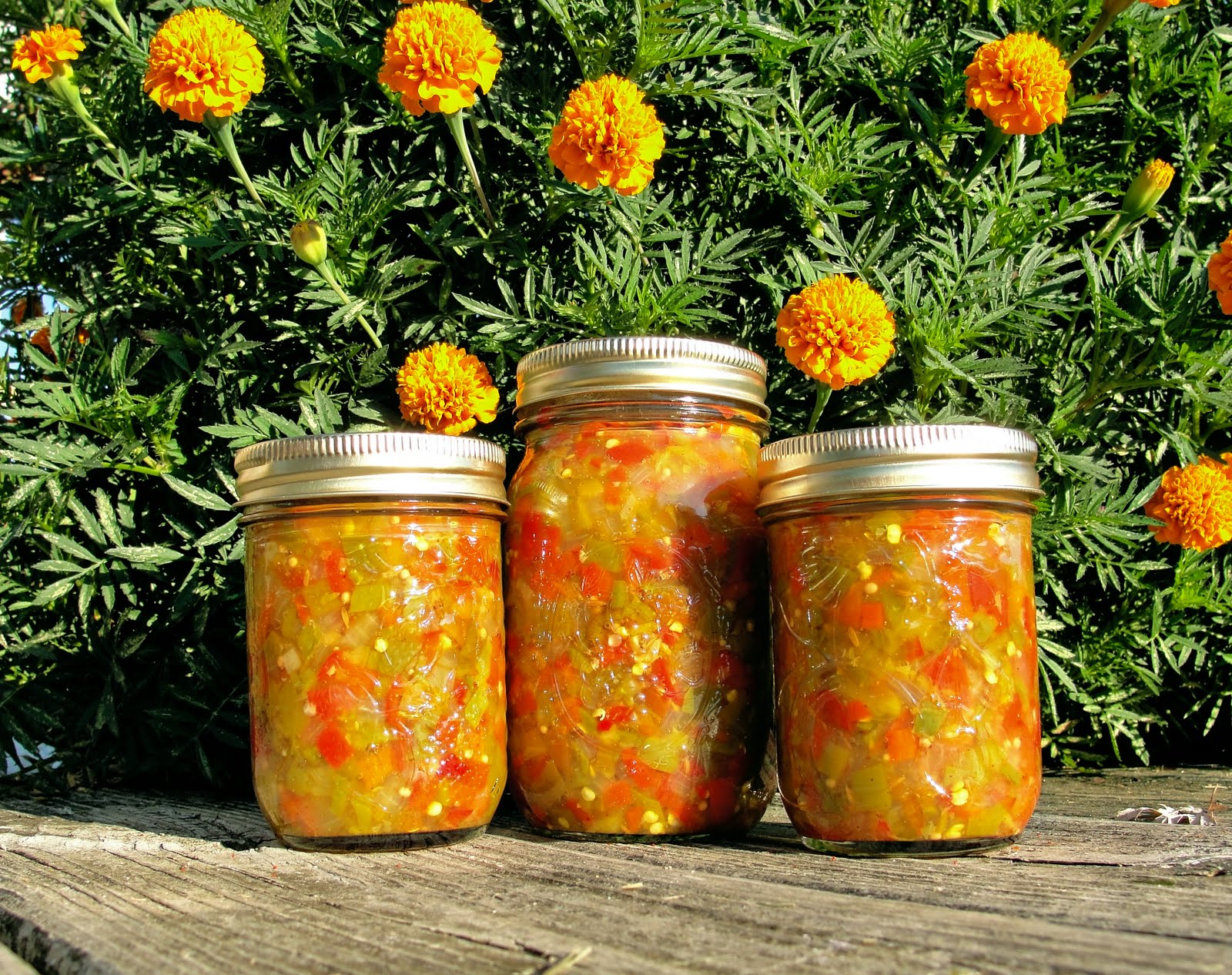 Domesticated Chick: End of Garden Pepper Relish