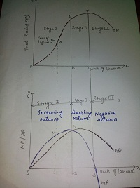 three stages of production function ppt