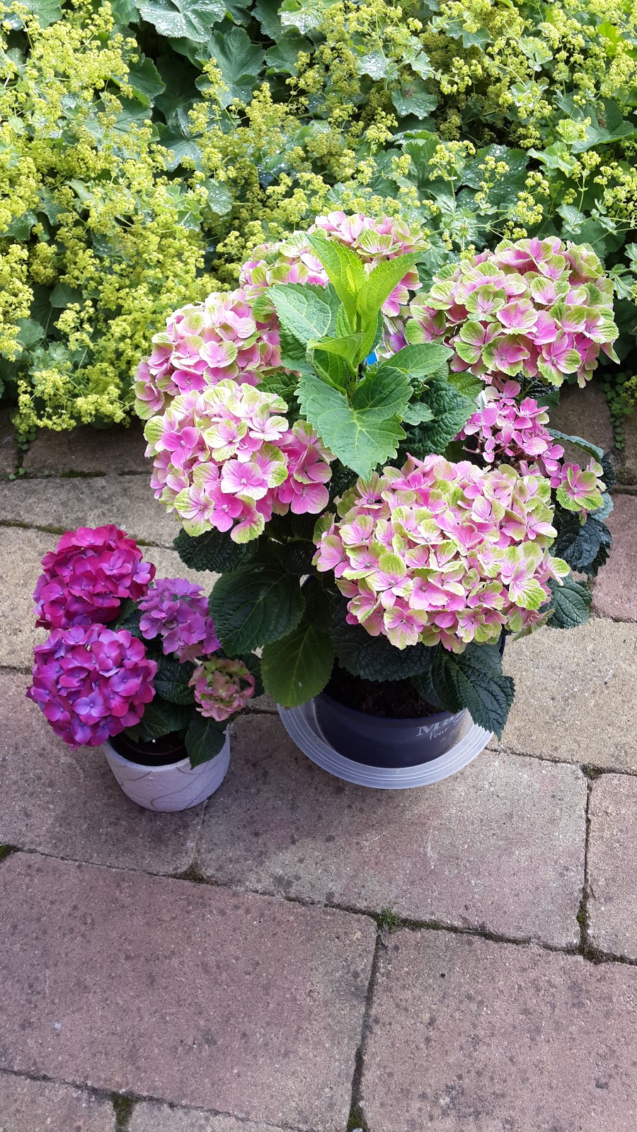 View Warna Rumah Bali Images