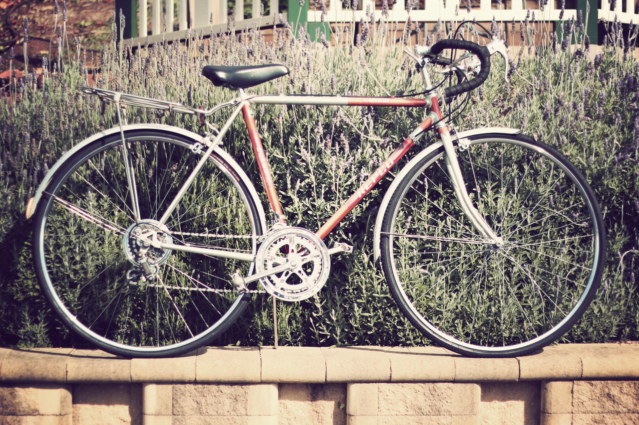 Vintage nishiki 10 speed deals