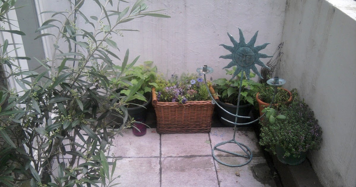 Restaurants Grow Herbs Food Safety Restaurants Grow Herbs Food Safety