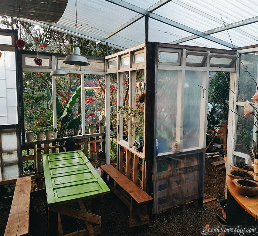 10 Homestay Đà Lạt có vườn farm: dâu tây, rau, hoa, hồng cho khách trải nghiệm