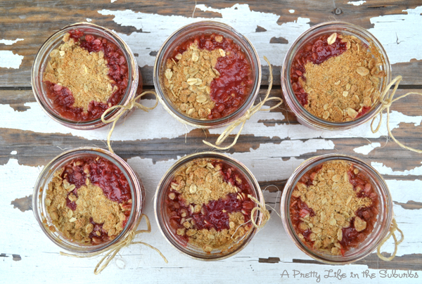 Peach Raspberry Crisps