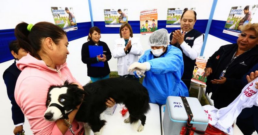 VAN CAN 2019: Sepa dónde vacunar a su mascota contra la rabia este sábado y domingo VAN CAN 2019: Sepa dónde vacunar a su mascota contra la rabia este sábado y domingo
