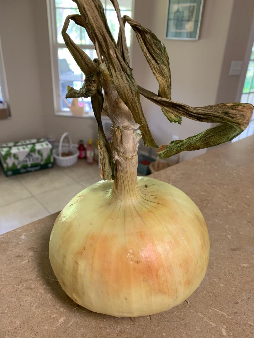 Best of Long Island and Central Florida Strawberry Onion Relish